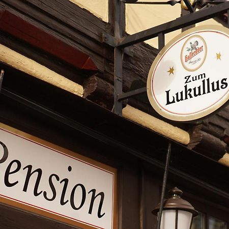 Pension Zum Lukullus Wernigerode Buitenkant foto
